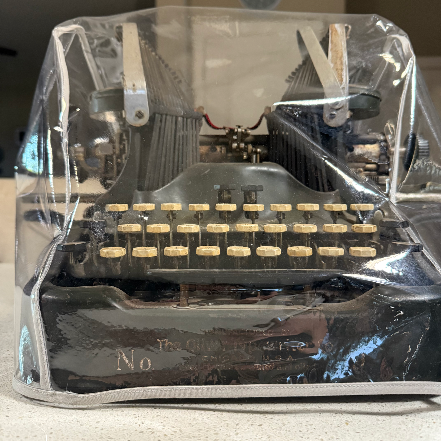 Oliver Bat Wing Dust Cover in Clear Vinyl