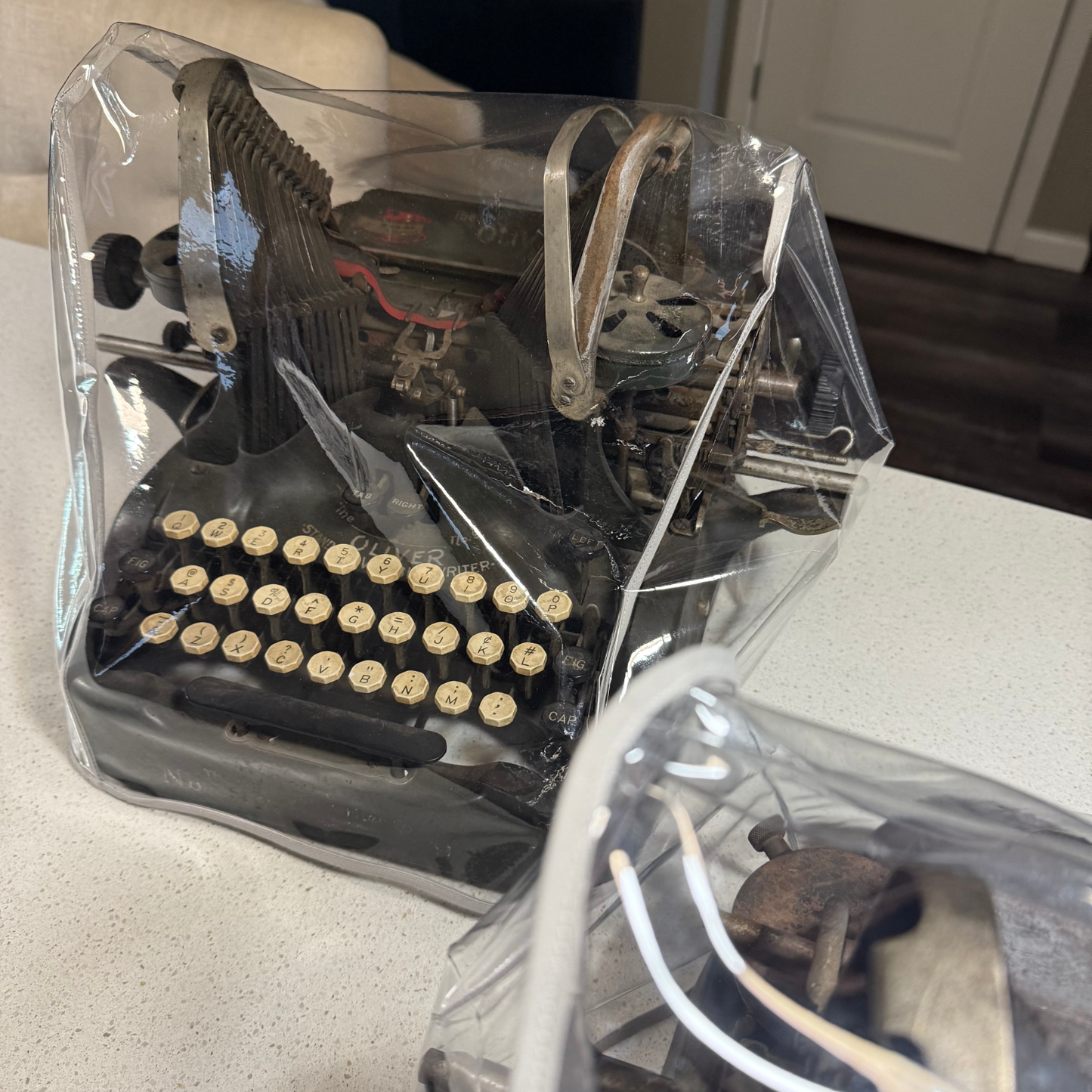 Oliver Bat Wing Dust Cover in Clear Vinyl